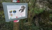 Trail Walking Viols-le-Fort - Viols le Fort chemin des tombes aven Vidal - Photo 7