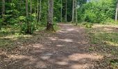 Trail Walking Vendôme - Randonnée dans le Bois de l'Oratoire à Vendôme  - Photo 14