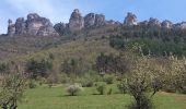 Trail Walking Massegros Causses Gorges - GR DE PAYS Causse Mejean et Gorges du Tarn  - Photo 12