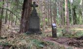 Tour Wandern Étalle - Vallée de Laclaireau et ruines de Montauban - Photo 3