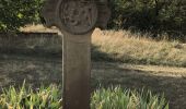 Tocht Stappen Hohengœft - Chemin de croix baptême Loulou  - Photo 4