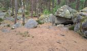 Trail Walking Fontainebleau - T Hippo - Photo 3