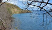 Trail Walking Les Anses-d'Arlet - Galoche - Esperance - Photo 8