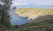 Tocht Stappen Hyères - Presqu'ile de Giens - Photo 7