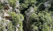 Trail Walking Estoublon - TREVANS,  Chateau de Trevans,  les Beluguettes. Cotes Chaudes , Belvédère des  Gorges  , Turquet ,o quet  - Photo 5