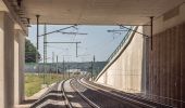 Tour Zu Fuß Breitengüßbach - Rundwanderweg Breitengüßbach 2 - Photo 4