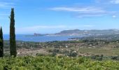 Tour Wandern La Cadière-d'Azur - LA CADIERE  - Photo 4