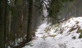 Trail Walking Aubure - Col de Freland Pierre des trois bans Aubure - Photo 4