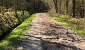 Trail Walking Woensdrecht - Stoppelbergen Zuidpolder Ossendtecht - Photo 9