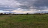 Tocht Stappen Argelès-sur-Mer - réserve du mas Larrieu de part et d autre du Tech - Photo 1