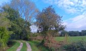 Randonnée Marche Argelès-sur-Mer - en attendant mes pneus  - Photo 17