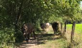 Trail Walking Heuvelland - Kemmel Dranouter 21 km - Photo 15