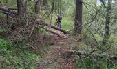 Percorso Mountainbike Risoul - coupe de bois crête de Martina - Photo 1