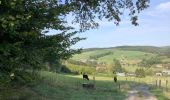 Tour Wandern Sankt Vith - Alfteg Ihren - Photo 1