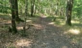 Tour Wandern La Ferrière - La Ferrière - Photo 8