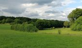 Randonnée Marche Esneux - parc du Mary. targnon . parc du Mary - Photo 11