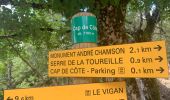 Tour Wandern Arphy - Cascade de l’Orgon  - Photo 1
