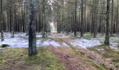 Trail Walking Eupen - Hautes Fagnes hohes Venn 20 km - Photo 4