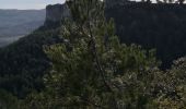 Tour Wandern Allauch - grotte aux fées - Photo 10