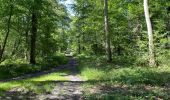 Excursión Senderismo Vieux-Moulin - en foret de Compiègne_38_07_2021_sur la Route Eugénie - Photo 20