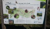 Tocht Stappen Chouvigny - La table de peraclos  - Photo 6