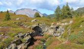 Tour Zu Fuß Visperterminen - Bistinenpass-Simplonpass - Photo 5