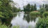 Tocht Elektrische fiets Berlare - Overmere- donk -definitief - Photo 3