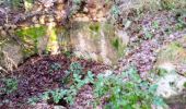 Trail Walking Draguignan - le malmont  - Photo 2