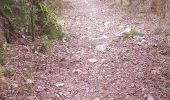 Tocht Elektrische fiets La Bresse - cascade bouchot - haut du tot - grouvelin - Photo 3