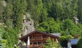 Randonnée Marche Chamonix-Mont-Blanc - Gare de Chamonix aux Houches par l'Arve - Photo 12