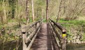 Trail Walking Honnelles - Promenade du caillou qui bique  - Photo 10