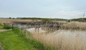 Tour Wandern Sluis - Breskens 16,2 km - Photo 6