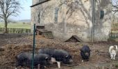 Tocht Stappen Clavier - st fontaine-tahier-ossogne-st fontaine ac - Photo 13