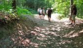 Tour Wandern Sprimont - Banneux - Photo 6