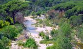 Excursión Senderismo Le Muy - SityTrail - les p'tits étangs de Palayson - Photo 16