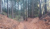 Tocht Stappen Malmedy - malmedy . ferme libert .  tro maret . ferme libert . malmedy par les crêtes  - Photo 1