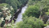 Tour Wandern La Roche-en-Ardenne - GR 57 02 : Beausaint - Nisramont  - Photo 9