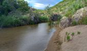 Trail Walking Roquebrune-sur-Argens - Pic Bourete - Photo 8