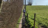 Trail Walking Brakel - geutelingenpad - Photo 5