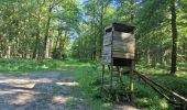 Trail Walking Spa - GrWandArdRiv 12: Spa de Barisart en Geronstère bronnen (PVDB) - Photo 10