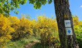 Tour Wandern Goesdorf - Goebelsmühle  - Photo 4