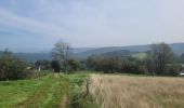 Tour Wandern La Roche-en-Ardenne - rando samrée 3-09-2023 - Photo 11
