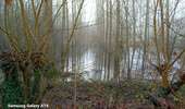 Tocht Stappen Hannuit - moxhe reco 12 24 - Photo 11