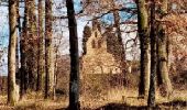 Tocht Noords wandelen Parisot - Boucle du chateau d’eau  Parisot - Photo 1