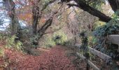 Trail On foot Wirral - Parkgate Walk - Photo 3