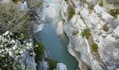 Tour Wandern Trigance - Trigance et le Verdon : boucle par Rougon - Photo 14