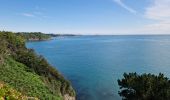 Tocht Stappen Cancale - RA 2023 La pointe du Grouin - Photo 9