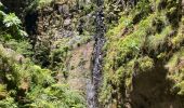Randonnée Marche São Roque do Faial - Le chaudron vert  - Photo 10