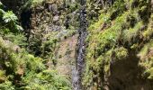 Excursión Senderismo São Roque do Faial - Le chaudron vert  - Photo 10