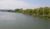 Randonnée Marche Asnières-sur-Oise - Grand tour de L'Abaye de Royaumont - Photo 2